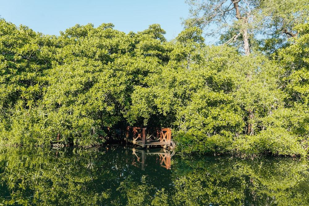 Вилла Jetwing Kurulubedda - Adults Only Галле Экстерьер фото